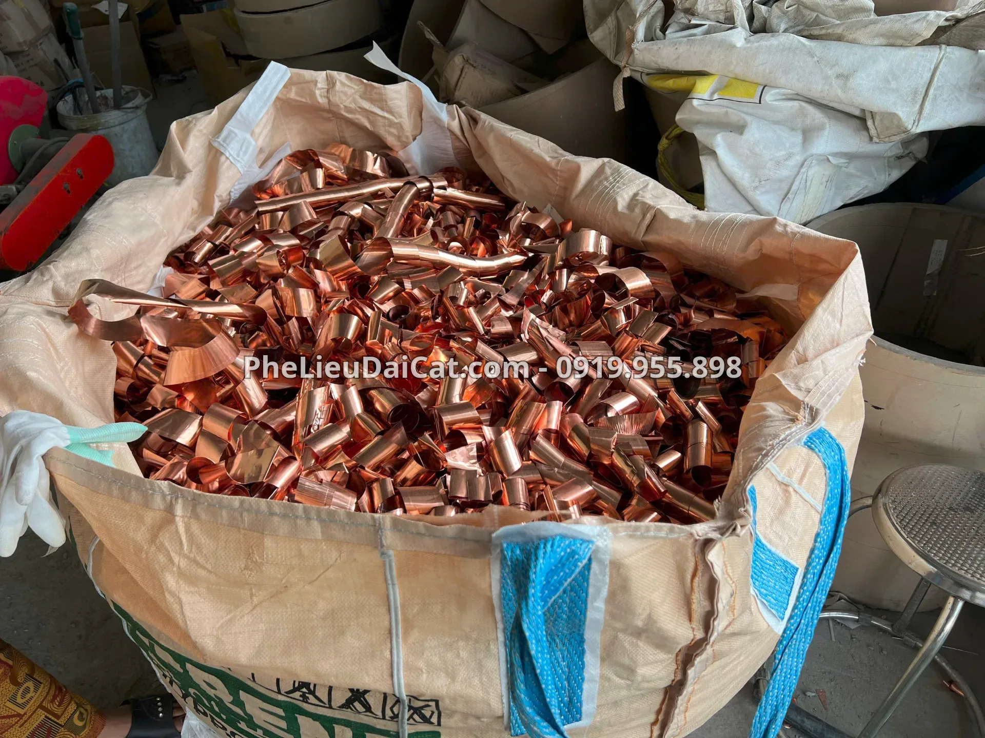 Đồng loại 2